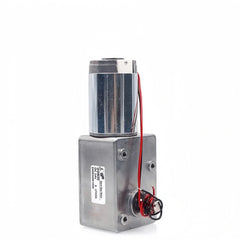 Speed Motor – GW600 / GW31ZY Worm Gear