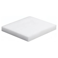 Roland Flush Sponge for RS640