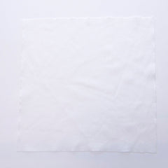 iColorPro Cleanroom Wiper